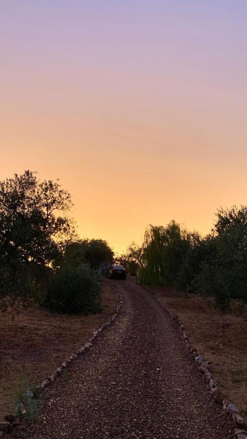 Casa Rural Arroyo Marco Guadalcanal Zewnętrze zdjęcie